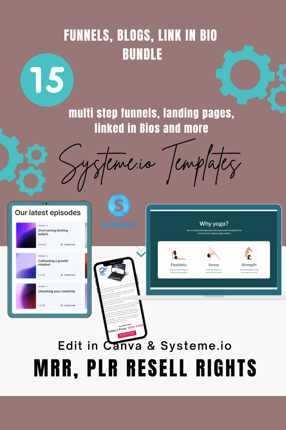 Systeme.io  3 Step Funnel Digital Product Vault, MRL PLR, Rebrand, Edit, Sell Keep 100% Profits, Funnels, Niches, SEO, Strategies, Templates, Courses, Digital Media
