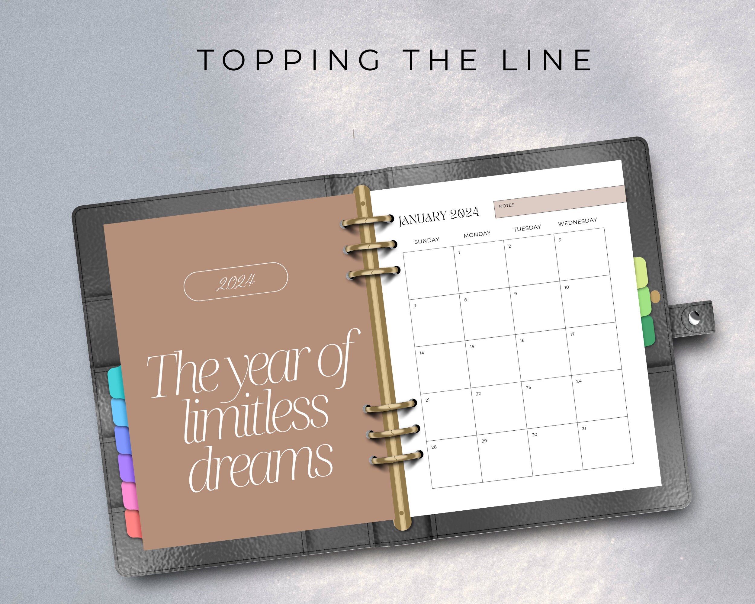 PLR Digital Planner for Resell, PLR 2024 Planner, PLR, Commercial Use, 2024 planner template, black girl planner