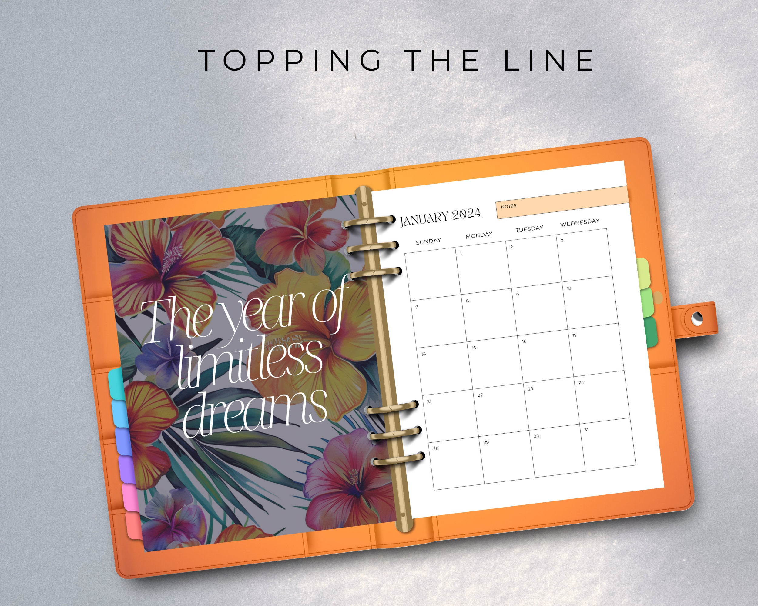 PLR Digital Planner for Resell, PLR 2024 Planner, PLR, Commercial Use, 2024 planner template, black girl planner