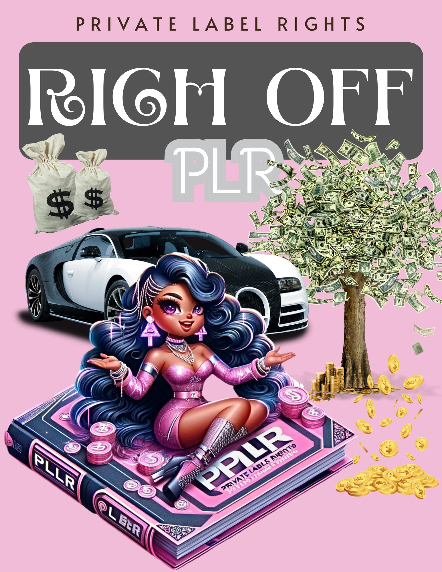 RICH Off PLR E-Book, Your options, What is it? Rights, Make Money, AI, Rewrite Content, Resell Tips & Strategies, Selling Digital Products.